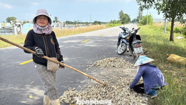 Kiệu được mùa khiến bà con phấn khởi vì có tiền sắm sửa đón Tết.