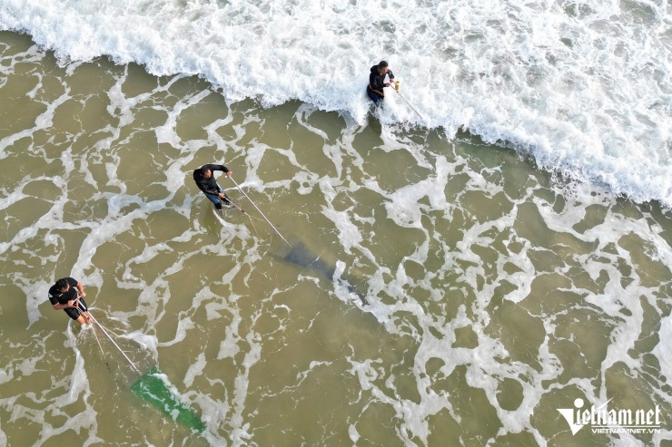 Nghề cào ốc ruốc được bà con vùng biển ngang gọi vui là nghề "đi giật lùi".