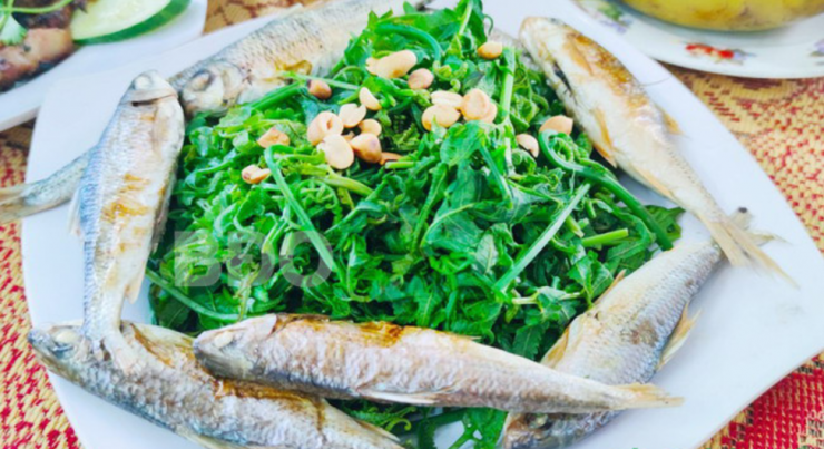 Rau dớn (rau chua) ăn kèm với cá suối chiên hoặc xào