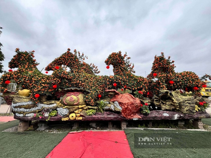 Mỗi cây quýt cao khoảng 3m, được tạo hình dáng ngựa đầy thần thái với thân cây uốn lượn mềm mại, phần đầu và đuôi tạo hình rõ ràng, thế đứng vững chãi, chắc khỏe.