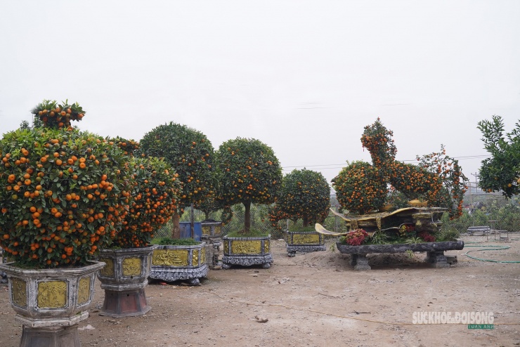 Bên cạnh các tác phẩm đơn lẻ, ông Nguyên còn gây chú ý với tác phẩm "Bát mã" gồm 8 con ngựa quýt, được tạo hình công phu trên thế lớn, từng được bán với giá 250 triệu đồng cho một khách hàng ở Ninh Bình.
