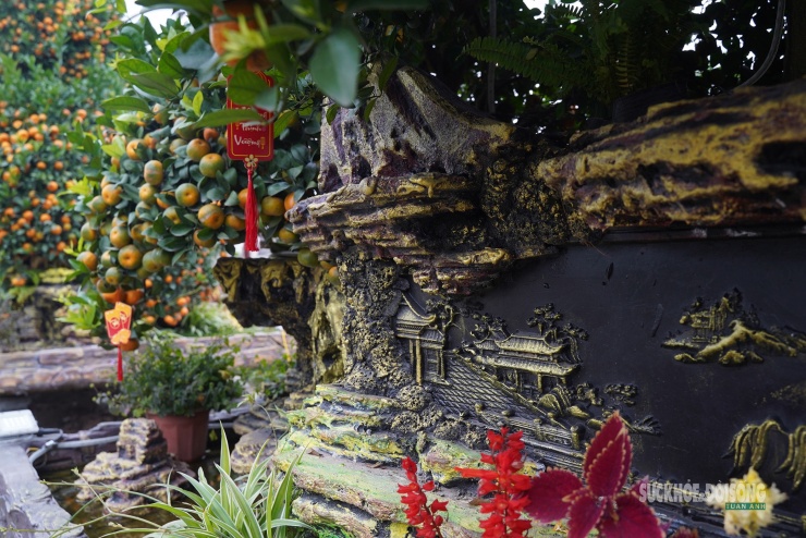 Ngắm 'đàn ngựa' quýt giá chục triệu đồng đón Tết Bính Ngọ - 5