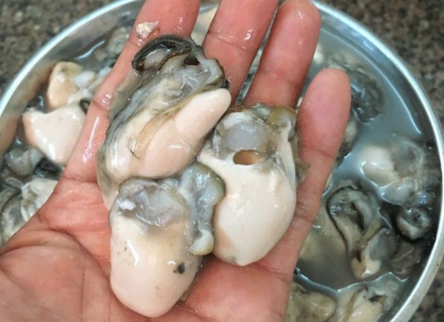 Các nghiên cứu đã phát hiện ra việc thường xuyên ăn hàu có thể tăng cường mật độ xương, giảm nguy cơ mắc các bệnh về xương khớp. Trong hàu có chứa lượng axit béo omega 3 khá dồi dào, có lợi cho tim cũng như giảm viêm, giảm cholesterol, hạ huyết áp và ngăn ngừa sự tích tụ mảng bám gây xơ vữa động mạch. Hàu cũng chứa selen tự nhiên, một khoáng chất nếu thiếu hụt sẽ dẫn đến bệnh tim mạch, vô sinh và suy giảm nhận thức.