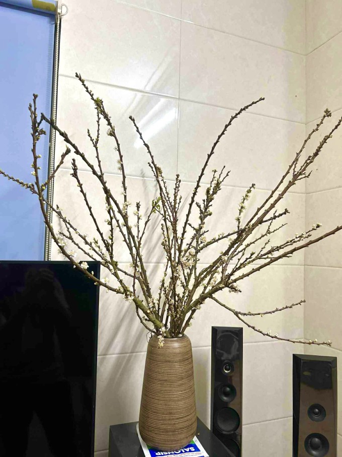 Bình mận dăm chị Lê Chi đặt trên livestream giá 10.000 đồng và miễn ship, đầu tháng 1. Ảnh: Nhân vật cung cấp