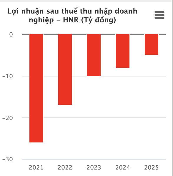 Khoản lỗ của Halico đang dần thu hẹp qua các năm