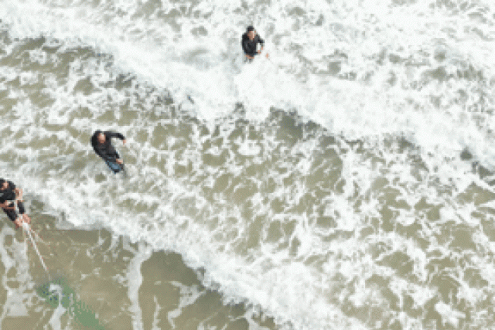 Nghề 'đi giật lùi' kéo 'lộc trời' từ cát, kiếm bạc triệu mỗi ngày