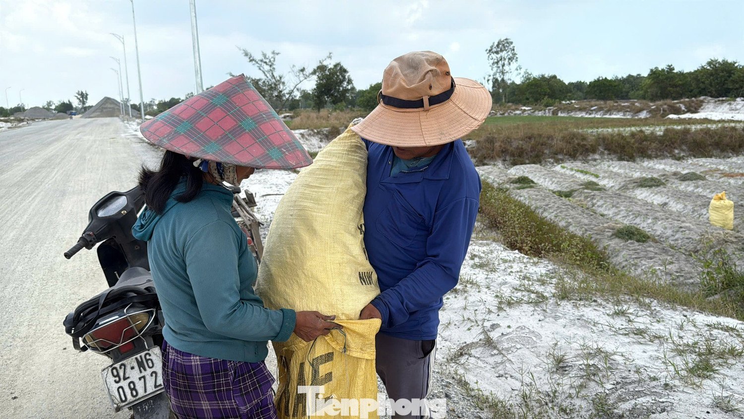 Không khí tất bật trên các cánh đồng kiệu ở Thăng Bình.