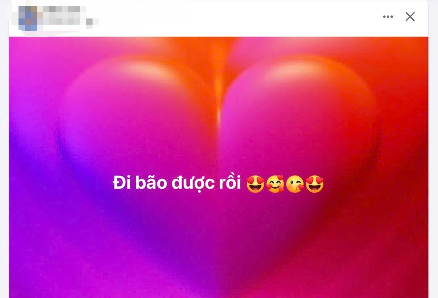 "Đi bão được rồi".