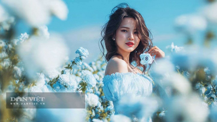 Con số may mắn hôm nay 24/1 của con giáp tuổi Dậu: 3 và 8.&nbsp;Màu sắc may mắn: Xanh nhạt và xám