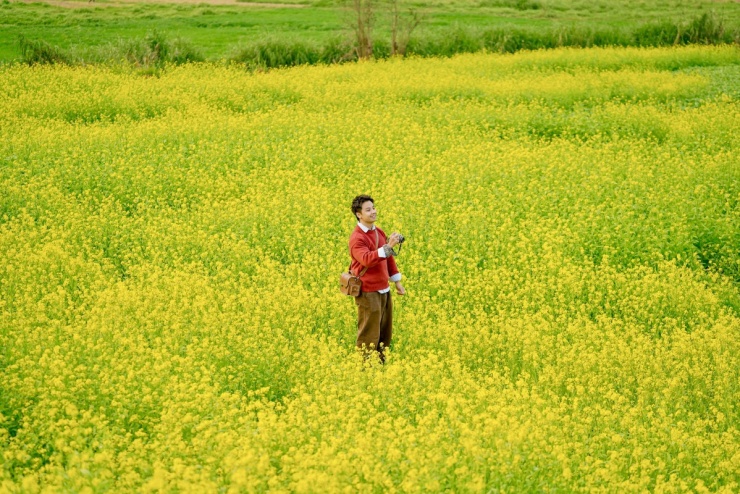 Hoa cải nhuộm vàng các cánh đồng ở Mộc Châu - 7