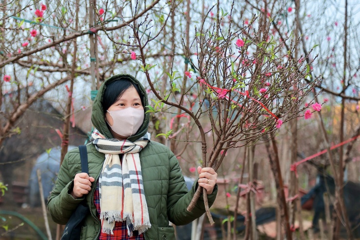 Cận Tết, người Hà Nội rộn ràng đi chọn đào, mua quất - 5