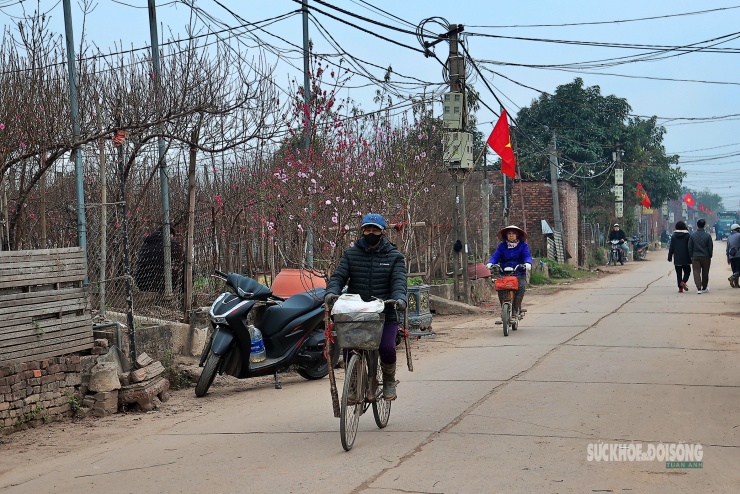 Các tuyến đường quanh Nhật Tân đông xe ra vào, không khí mua bán rộn ràng những ngày cuối năm.