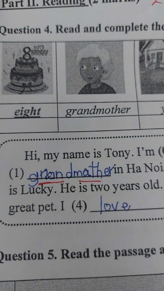 Một bài kiểm tra của học sinh mà phụ huynh cho rằng đã bị cô N. dùng bút sửa