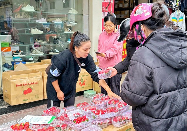 Tùy theo kích thước và chất lượng, giá dâu tây sẽ khác nhau, dao động từ 70.000 - 200.000 đồng/kg.