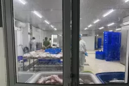 Vạch mặt những phù thủy “chế biến” thịt trâu giá rẻ thành thịt bò thượng hạng