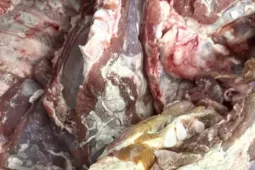 Thực hư thịt ‘bẩn’ tuồn vào một trường bán trú ở TPHCM