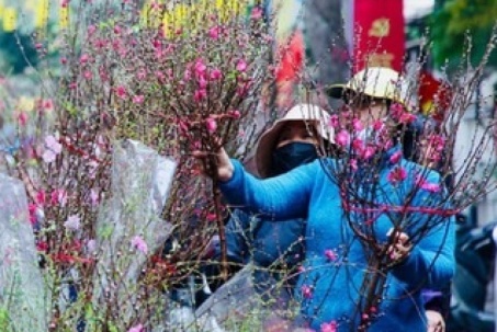 Thời tiết dịp Tết Nguyên đán Bính Ngọ 2026 mới nhất: Xuất hiện yếu tố gây bất lợi cho các kế hoạch ngày Tết