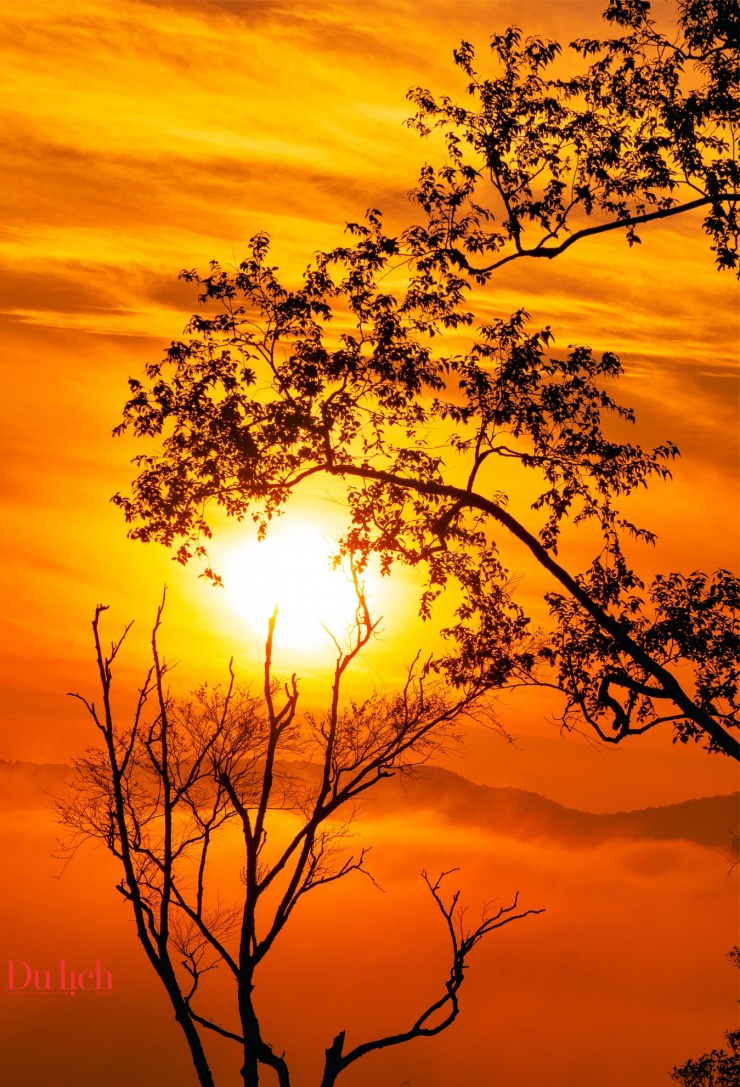 Bình minh sắc hồng giữa đại ngàn Măng Đen - 5