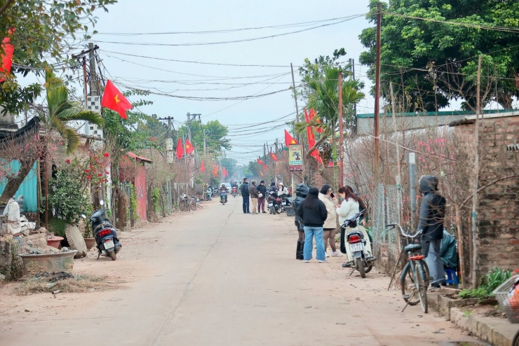 Đường vào các nhà vườn tấp nập.