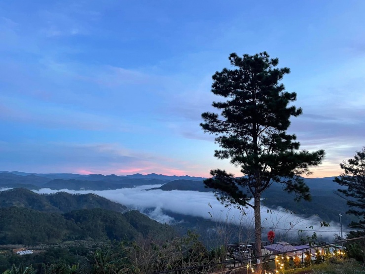 Du khách chọn điểm đến nào nhiều nhất trong dịp Tết Bính Ngọ 2026? - 3