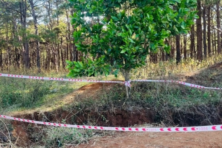 Hiện trường nơi chôn giấu xe máy nghi liên quan vụ cướp ngân hàng ở Gia Lai