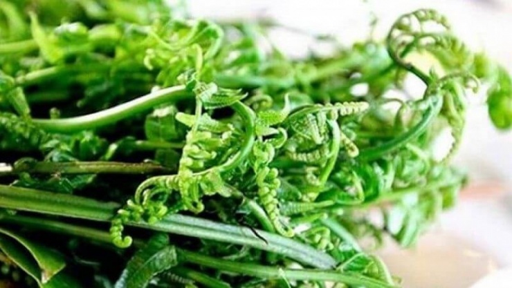 Món rau dân dã nơi núi rừng và những công dụng khiến nhiều người bất ngờ