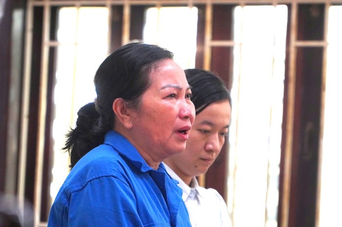 Bà bà Nguyễn Thị Lựu và bà Nguyễn Tôn Nữ Huyền Vi lần lượt nhận mức án 8 năm 6 tháng và 12 tháng tù