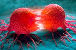 Tế bào ung thư hình thành có đặc điểm gì? Người Việt cần hiểu đúng để ngăn ngừa bệnh