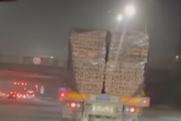 Xử phạt tài xế xe container chở 25 kiệu gạch chênh vênh trên đường