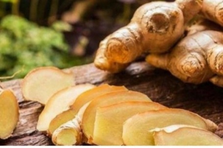 Điều gì xảy ra với cơ thể nếu bạn ngậm một lát gừng tươi mỗi sáng?