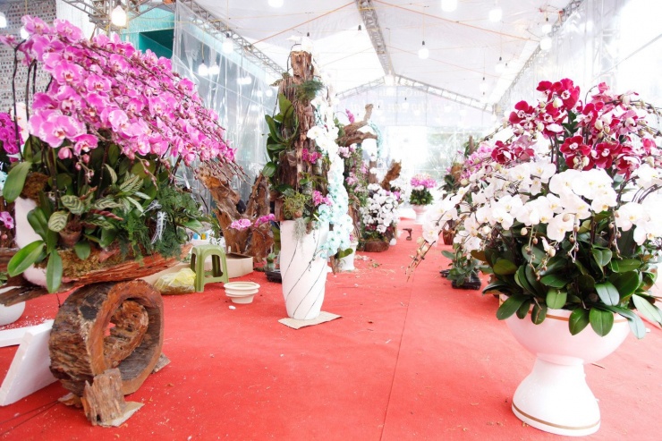 Một cửa hàng hoa lan.