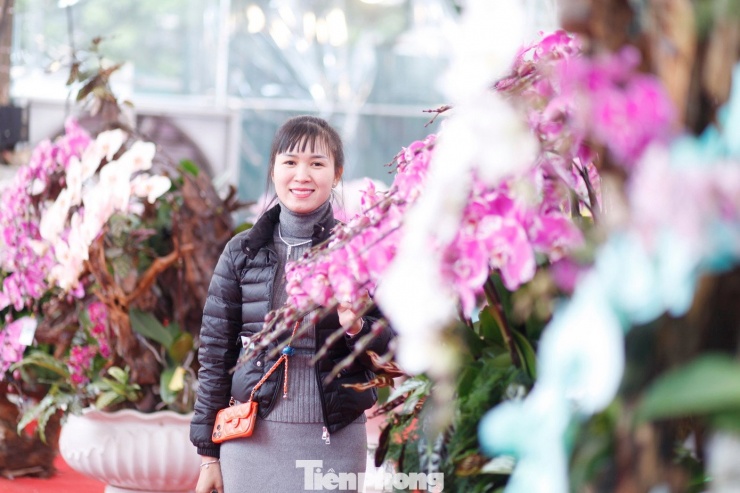 Một khách hàng mua lan chơi Tết.