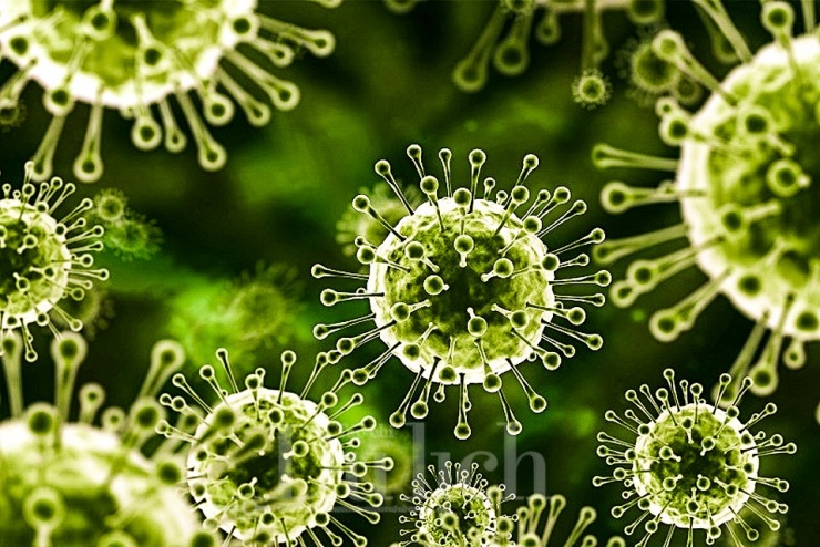 Nipah có tỷ lệ tử vong từ 40-75%. Người sống sót thường chịu di chứng nặng nề như co giật hay biến đổi tính cách, ảnh hưởng nghiêm trọng đến chất lượng cuộc sống lâu dài.