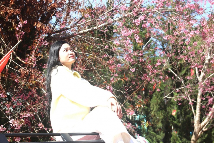 Buôn làng K’Ho ở Lâm Đồng những ngày này trở nên nhộn nhịp, các bạn trẻ kéo đến check-in với mai anh đào nở rực rỡ.