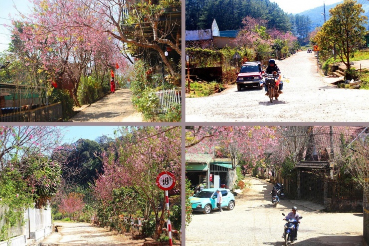 Khắp các ngả đường, lối đi xung quanh buôn làng hoa đang nở rực rỡ, tạo nên khung cảnh thiên nhiên đẹp đẽ, yên bình.