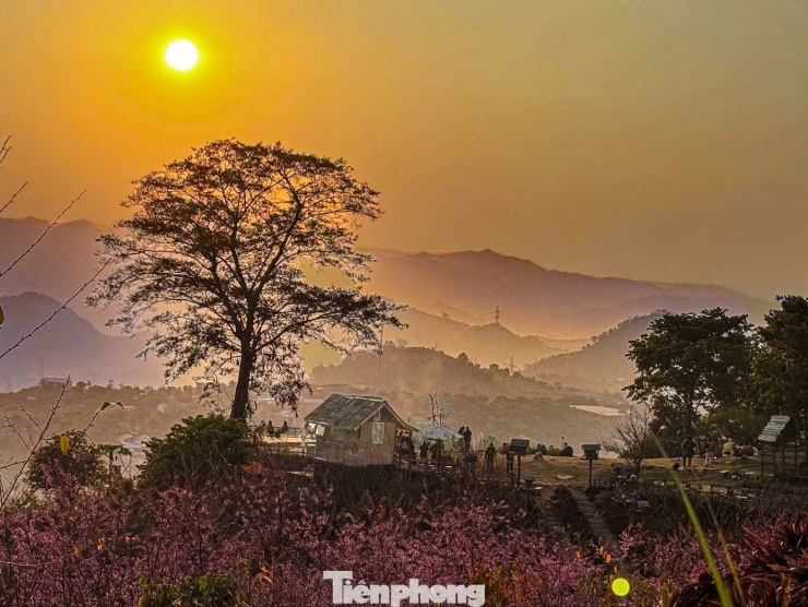 Cảnh tượng 'độc nhất vô nhị' ở điểm check-in cao nhất Mộc Châu - 1