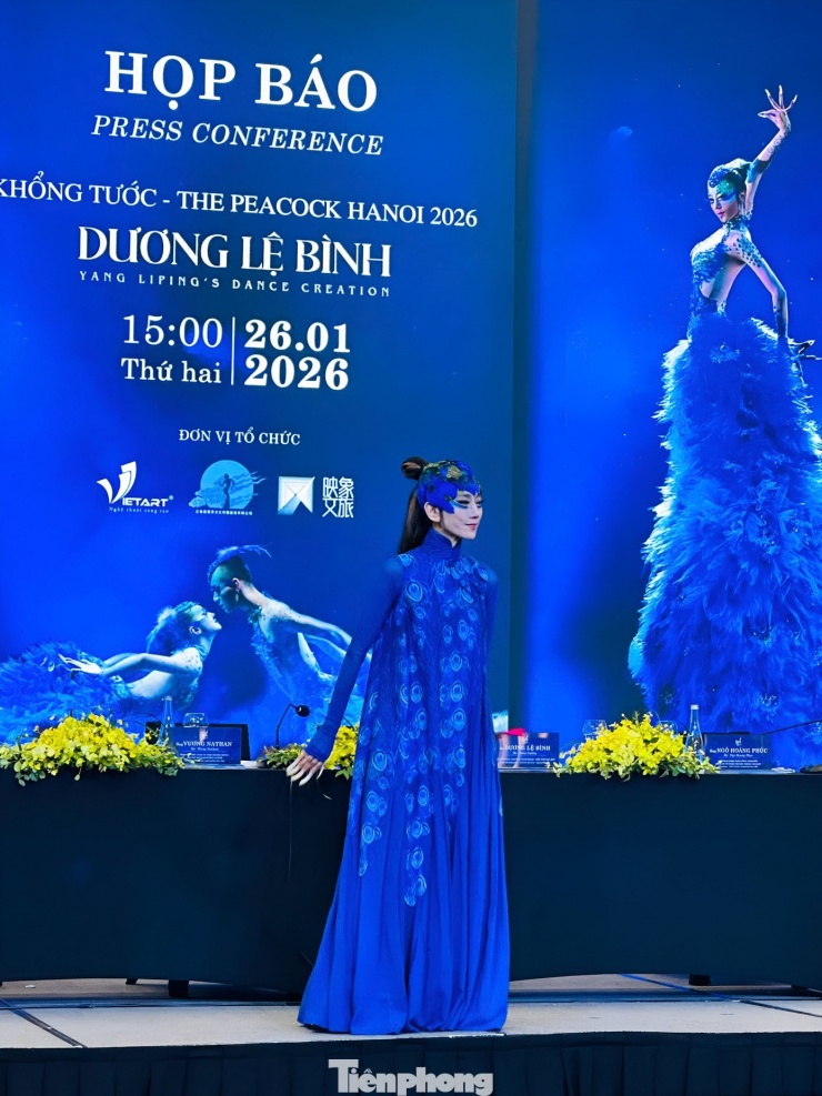 Ngay từ khi xuất hiện tại họp báo ở Hà Nội, Dương Lệ Bình trở thành tâm điểm chú ý từ phong cách thời trang, diện mạo đến khí chất. Dưới góc chụp của camera thường, danh xưng "mỹ nhân không tuổi" của Dương Lệ Bình được chứng thực.