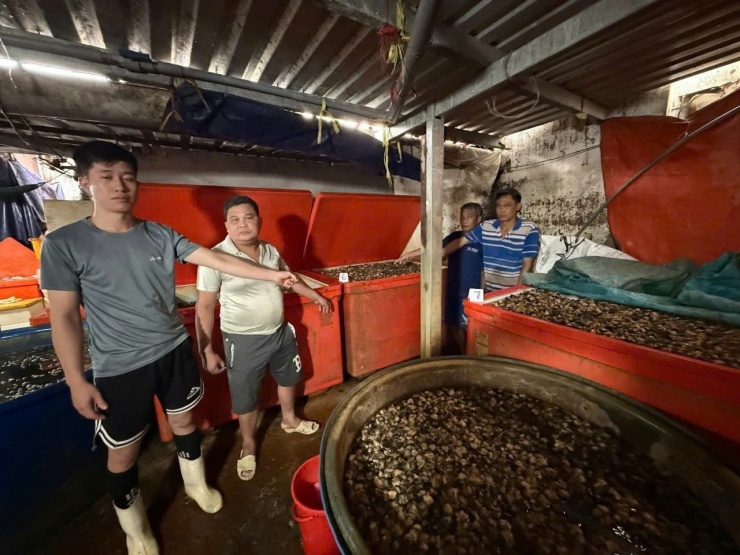 Kinh hoàng đường dây 'phù phép' 3.000 tấn thịt ốc bằng hóa chất công nghiệp - 5