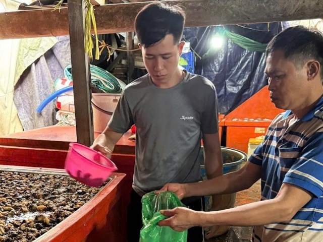 Bên trong cơ sở ngâm 3.000 tấn ốc bươu với hoá chất