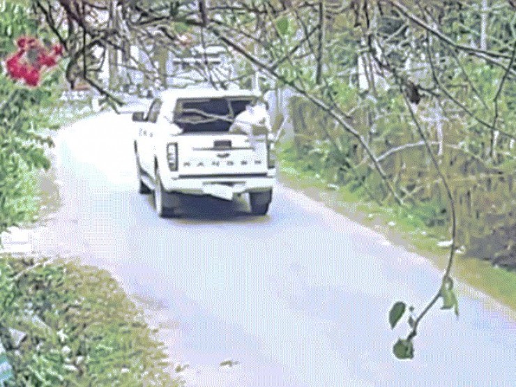 Trả lại con lợn 100 kg rơi giữa đường cho tài xế