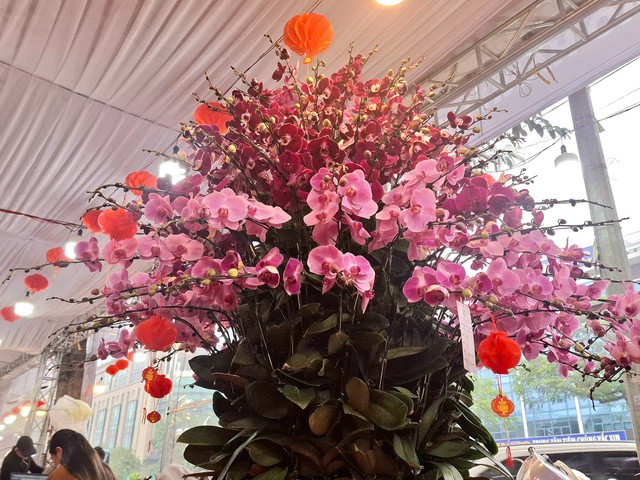 Từ các chợ hoa truyền thống đến những gian hàng bày bán dọc vỉa hè, hoa lan thu hút đông đảo người dân dừng chân tham quan, lựa chọn.