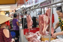 Lý do giá thịt lợn tăng mạnh