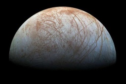 Bằng chứng mới về nơi sự sống ngoài Trái Đất có thể đang bơi lội