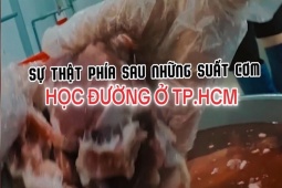 Sự thật phía sau những suất cơm học đường ở TPHCM (Trailer)