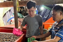 Bên trong cơ sở ngâm 3.000 tấn ốc bươu với hoá chất