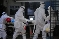 Ấn Độ nói 'dịch Nipah không bùng phát diện rộng, vẫn trong tầm kiểm soát'