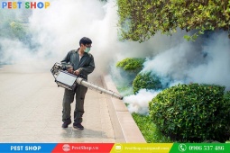 Review bộ giải pháp diệt muỗi tại Pest Shop có tốt không?