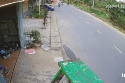 Clip: Ô tô lao nhanh từ ngõ làm xe máy giật mình ngã xoài