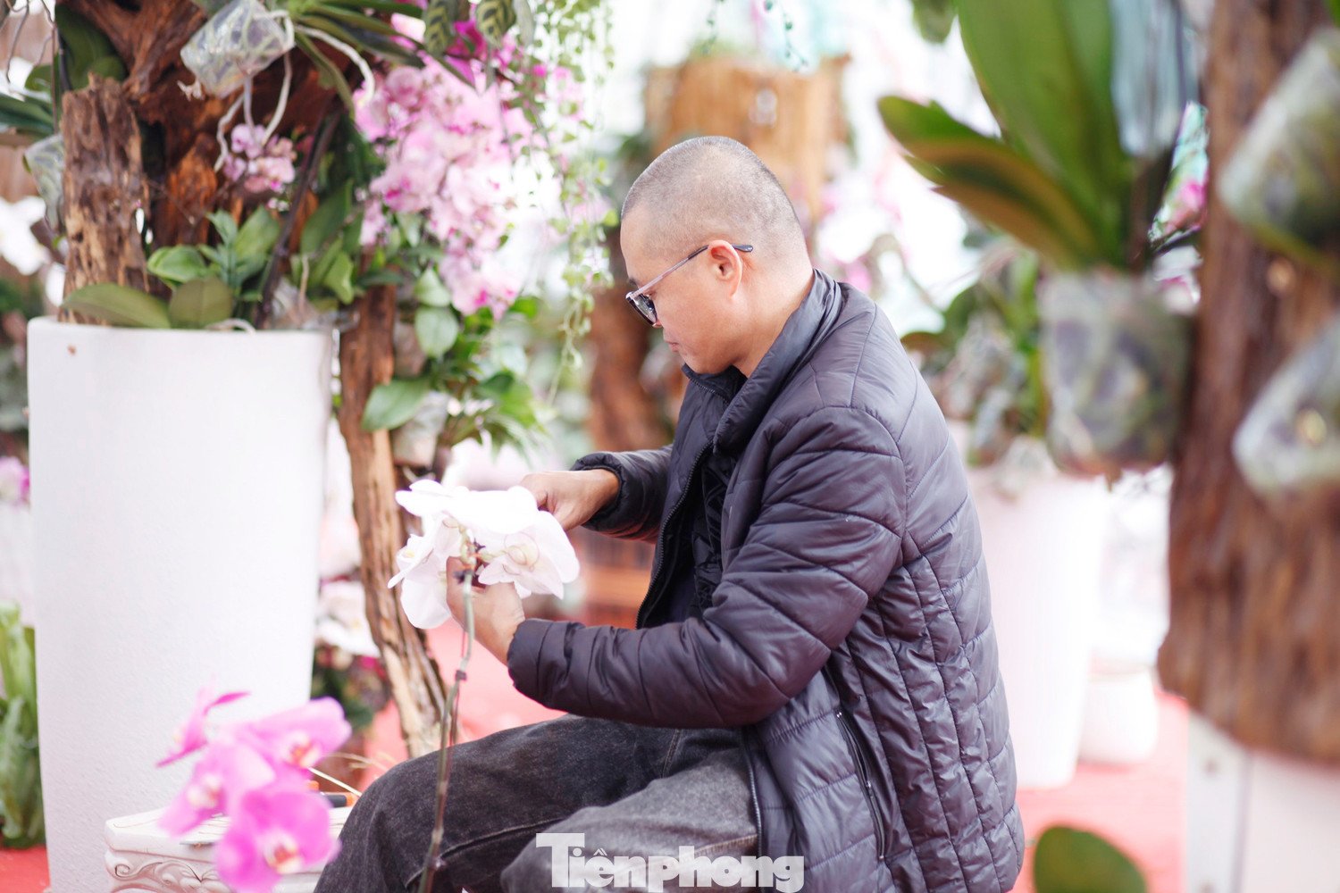 Thợ cắm hoa lan thuê dịp Tết.