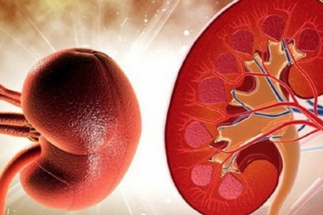 Thực phẩm bổ dưỡng được ví 'siêu thực phẩm' nhưng người bệnh suy thận cần biết điều này khi ăn